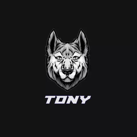 Name DP: tony