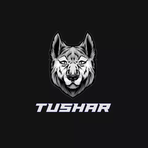 Name DP: tushar