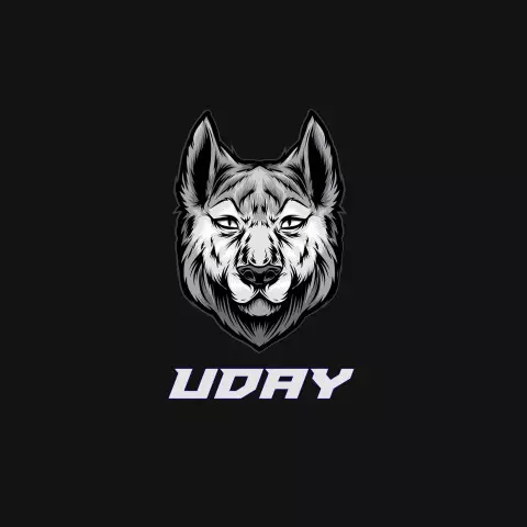 Name DP: uday