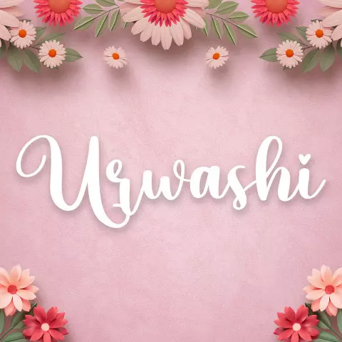 Name DP: urwashi