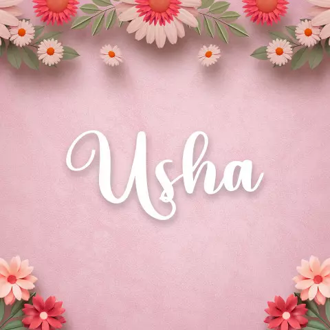 Name DP: usha