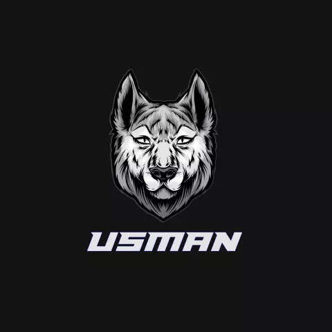 Name DP: usman