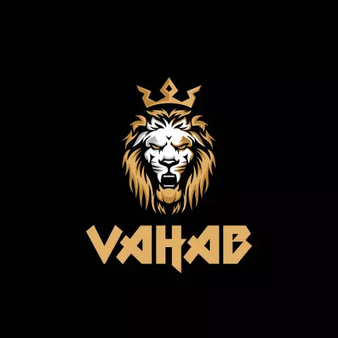 Name DP: vahab