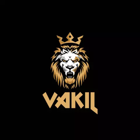 Name DP: vakil