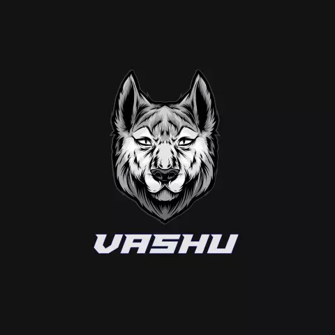 Name DP: vashu