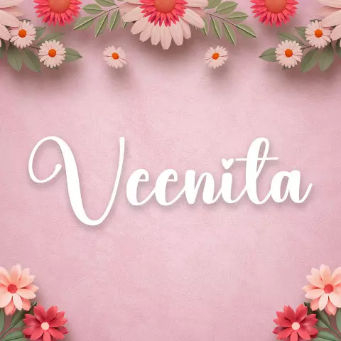 Name DP: veenita