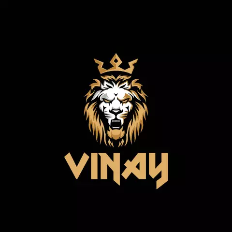 Name DP: vinay