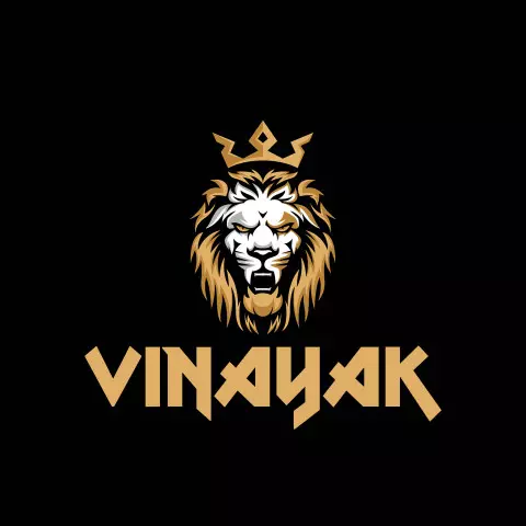 Name DP: vinayak