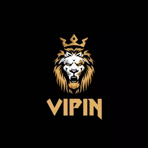 Name DP: vipin