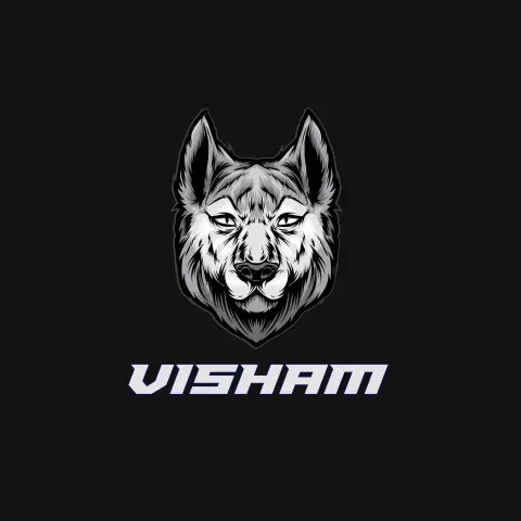 Name DP: visham