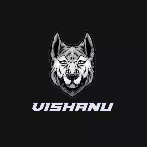 Name DP: vishanu