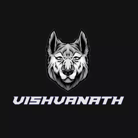 Name DP: vishvanath