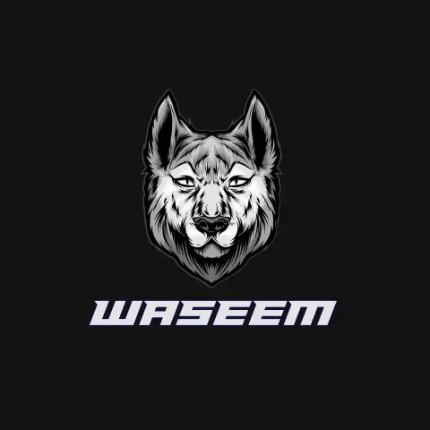 Name DP: waseem