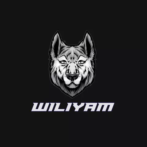 Name DP: wiliyam