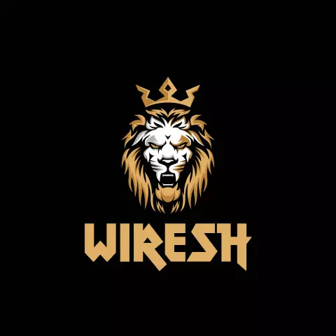 Name DP: wiresh