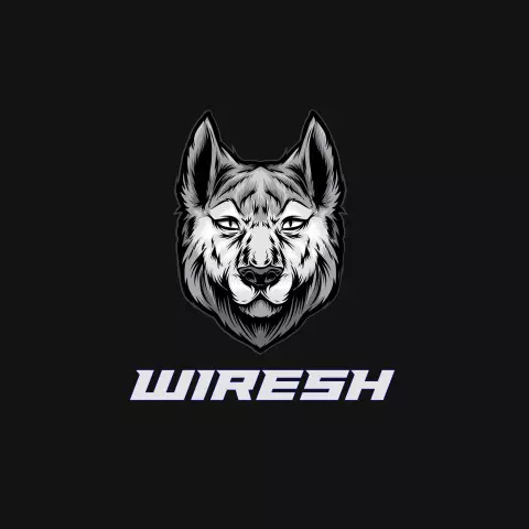 Name DP: wiresh