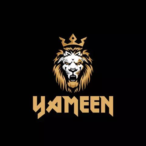 Name DP: yameen