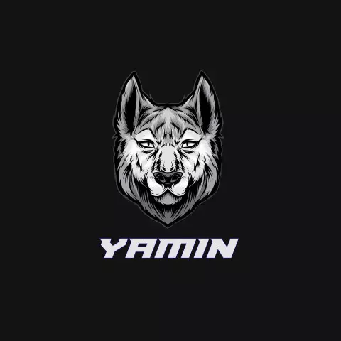 Name DP: yamin