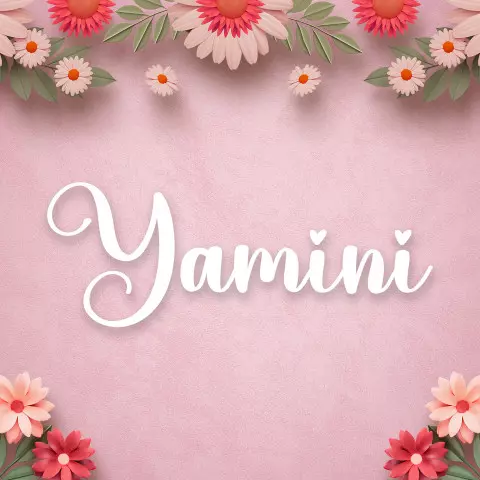 Name DP: yamini