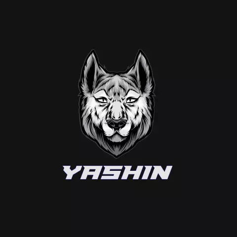 Name DP: yashin