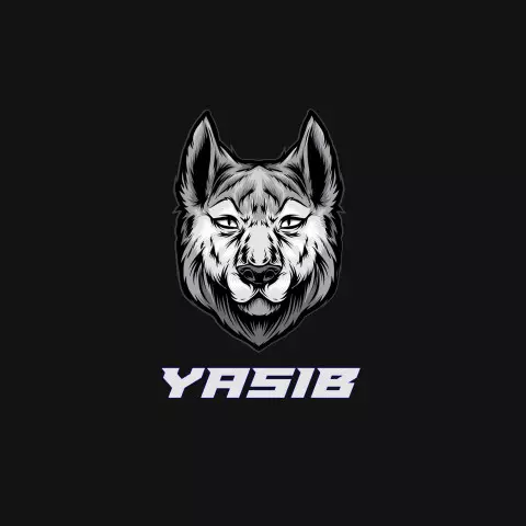Name DP: yasib
