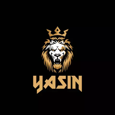Name DP: yasin