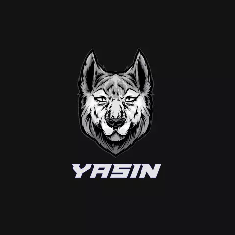 Name DP: yasin