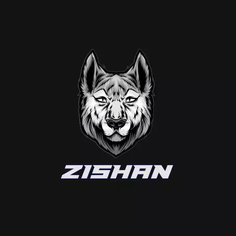 Name DP: zishan