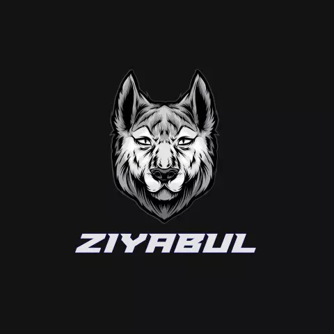 Name DP: ziyabul