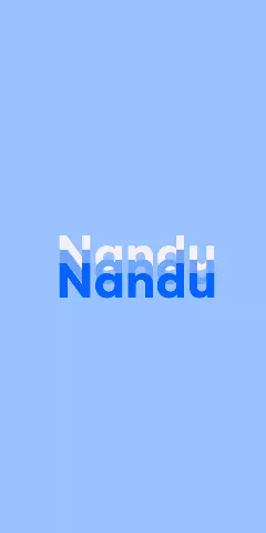 Name DP: Nandu