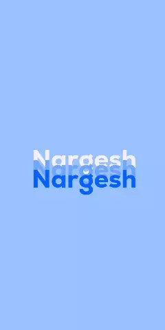 Name DP: Nargesh