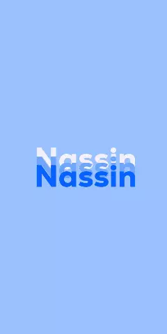Name DP: Nassin