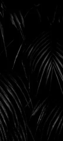 Nature Amoled Wallpaper with Black, Black and white & Monochrome