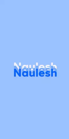 Name DP: Naulesh