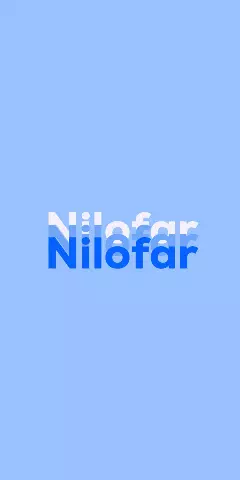 Name DP: Nilofar