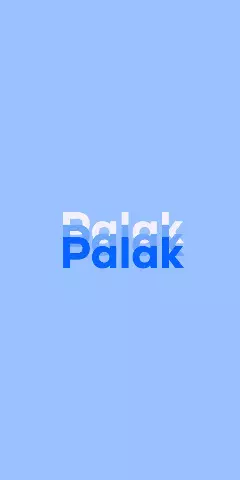 Name DP: Palak