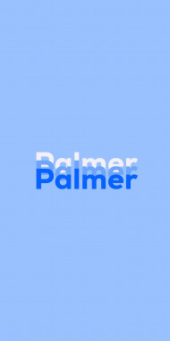 Name DP: Palmer