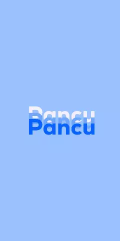 Name DP: Pancu