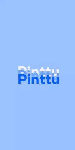 Name DP: Pinttu