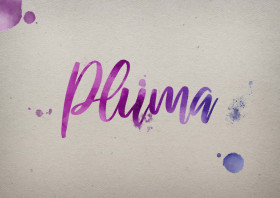 Pluma Watercolor Name DP