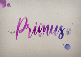 Primus Watercolor Name DP