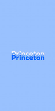 Name DP: Princeton