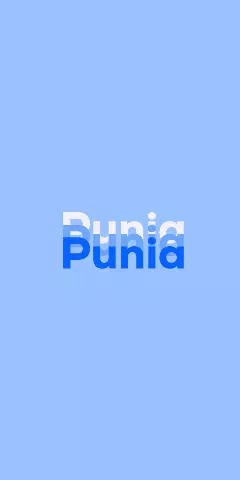 Name DP: Punia