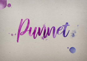 Punnet Watercolor Name DP
