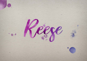 Reese Watercolor Name DP