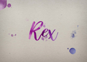 Rex Watercolor Name DP