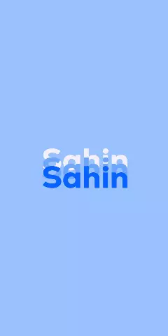 Name DP: Sahin