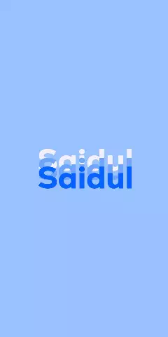 Name DP: Saidul