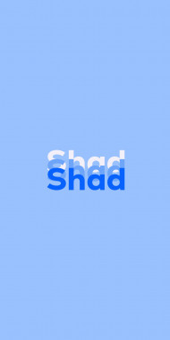 Name DP: Shad