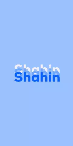 Name DP: Shahin